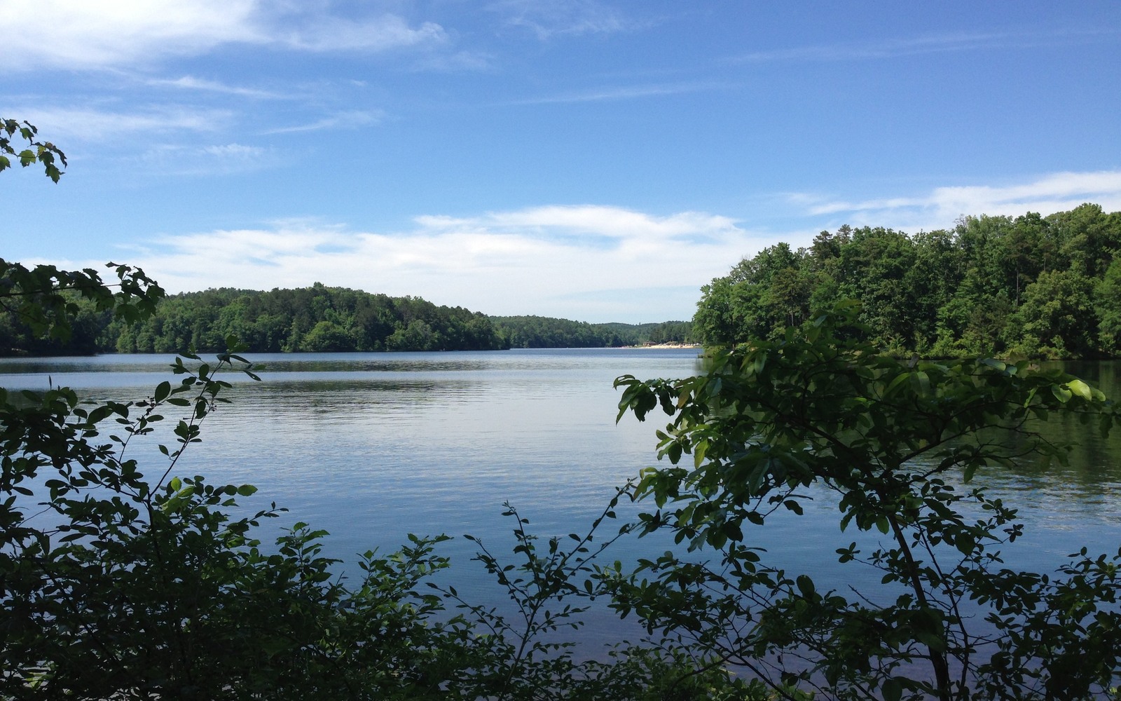 Sell Mineral Rights in Coker, AL