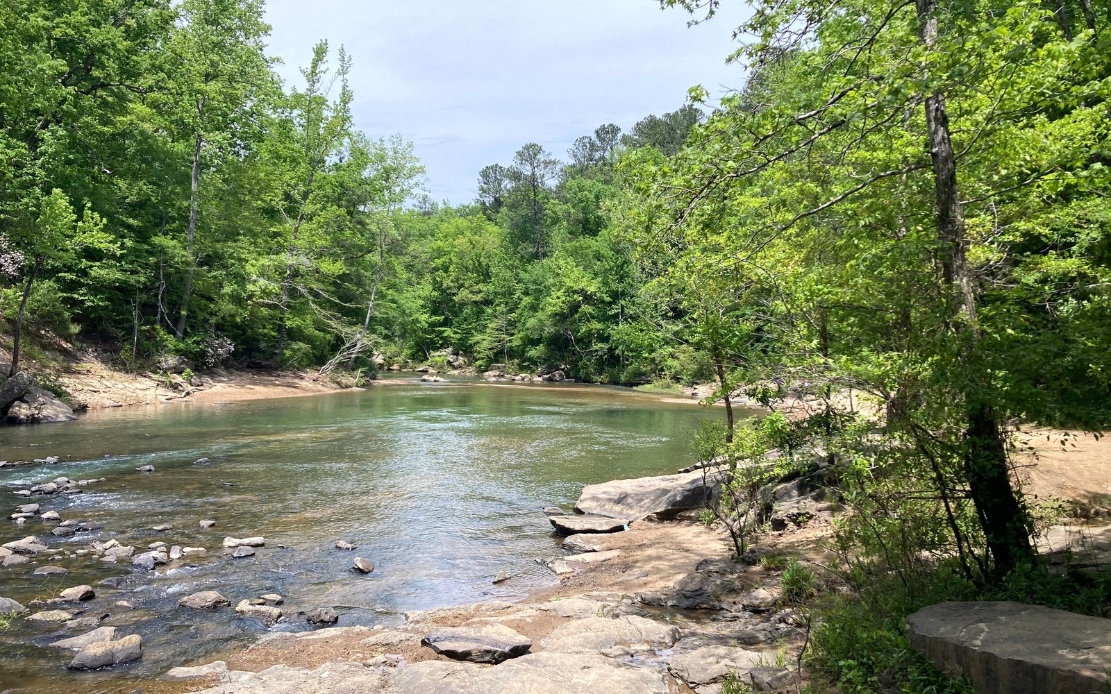 Sell Mineral Rights in Cottondale, AL