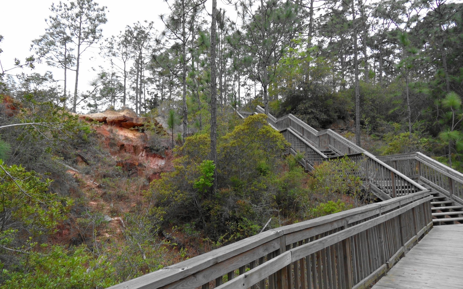 Sell Mineral Rights in Lillian, AL