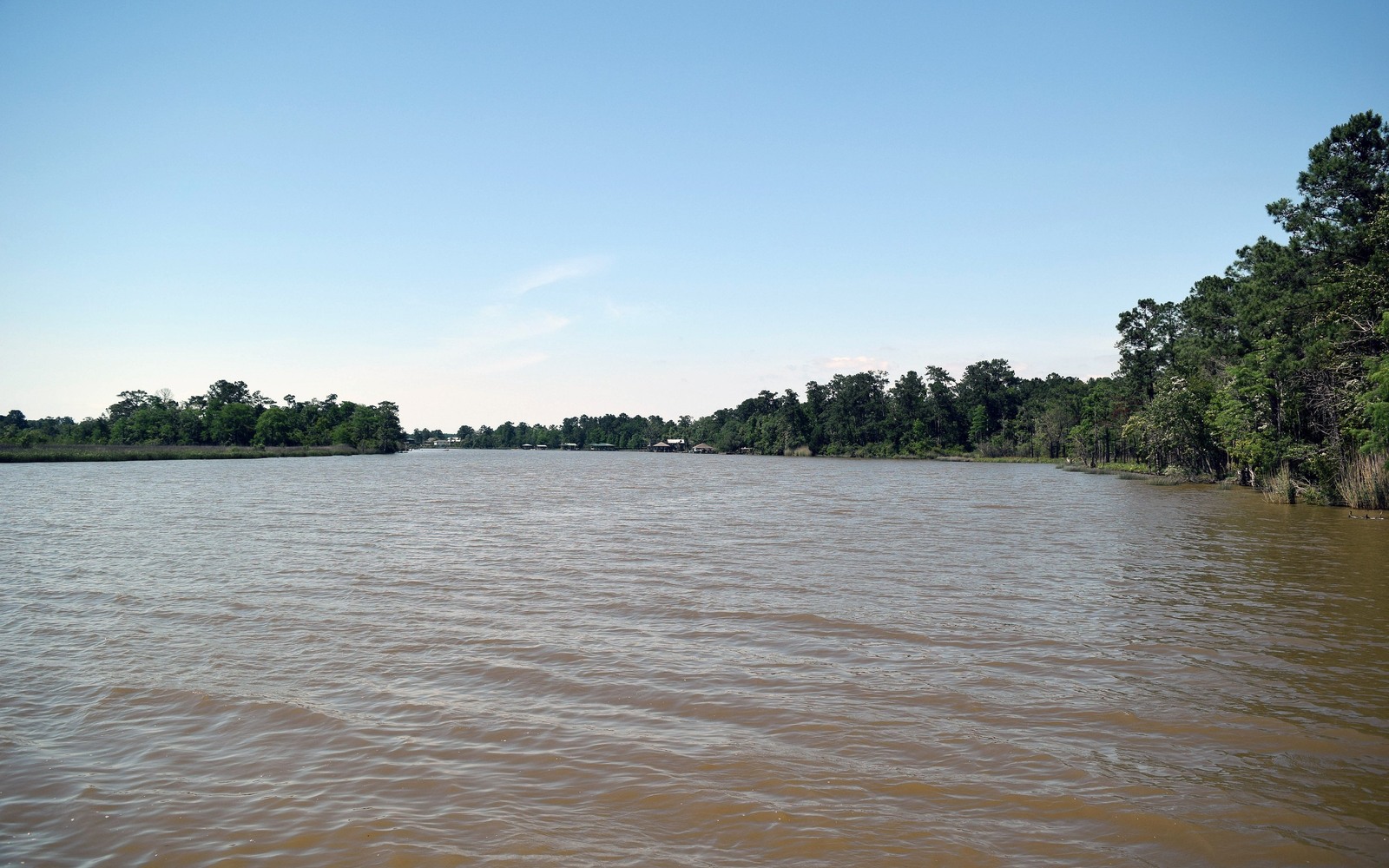Sell Mineral Rights in Magnolia Springs, AL